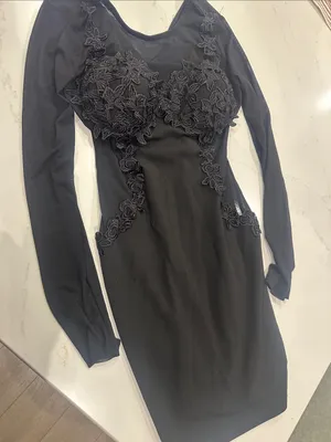 Windsor black mesh sleeve long sleeve fitted lace dress size large thumbnail 1