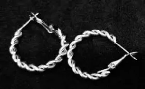 Silver Twisted Hoop Twist Earring Earrings thumbnail 1