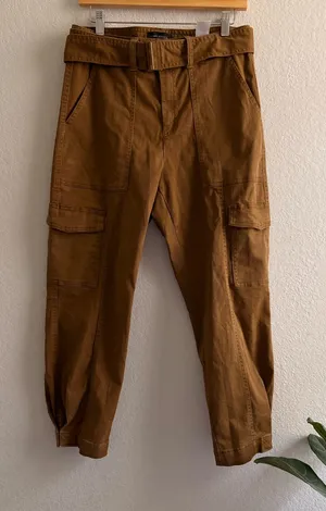 Banana Republic Cargo Tapered Utility Pants Iced Latte Size 6 thumbnail 1