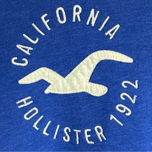 Hollister‎ Pullover Sweatshirt Bird Graphic Print Women’s Size Medium Blue thumbnail 4