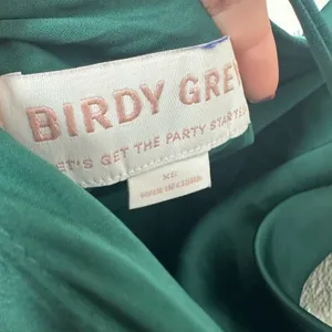 NEW Birdy Grey Olivia Matte Satin Slip Maxi Dress Sz XS Emerald Green Cowl Neck thumbnail 8