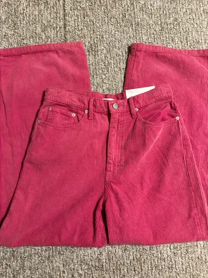 BDG Pink Corduroy Pants thumbnail 1