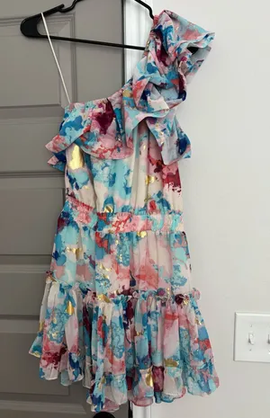 BuddyLove Dress thumbnail 1