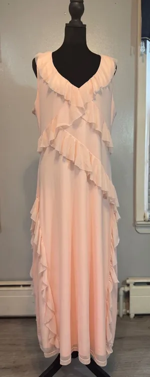 Glamorous Pink Ruffle Maxi Dress Sheer Layer Romantic Cottagecore Boho thumbnail 1
