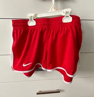 Nike Shorts thumbnail 1