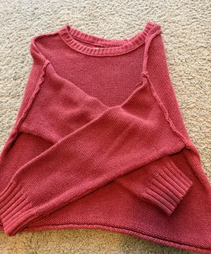 Red American Eagle Sweater Knit thumbnail 1