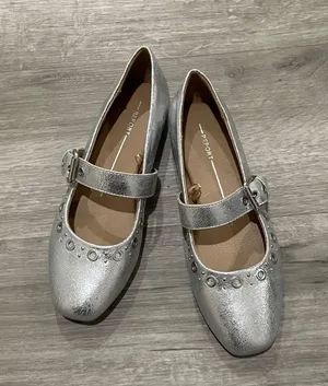 Silver Metallic Mary Jane Ballet Flats Size 6.5 thumbnail 1