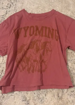 Vintage Threadz Wyoming cotton tee with brown graphic of three horses thumbnail 1