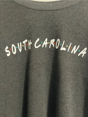 South Carolina State Sweatshirt Friends Themed Women's Size L Gray Soft Novelty thumbnail 3