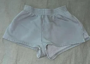 Aritzia shorts thumbnail 1
