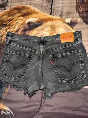Levi shorts thumbnail 2