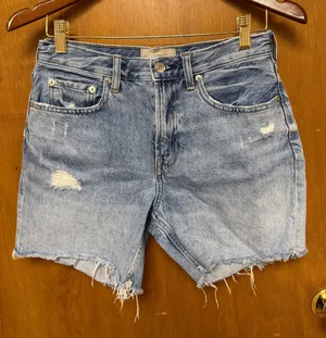 Everlane Denim Shorts thumbnail 1