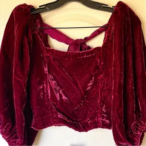 Free People Marie Velvet Open Back Crop Top‎ Balloon Sleeves Red Small NWT thumbnail 5