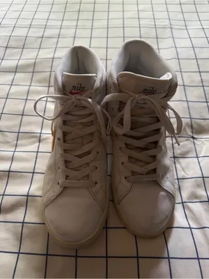 Limited Edition Nike 50th Anniversary Dunk SE thumbnail 4