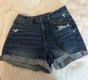American Eagle Outfitter Shorts  thumbnail 1