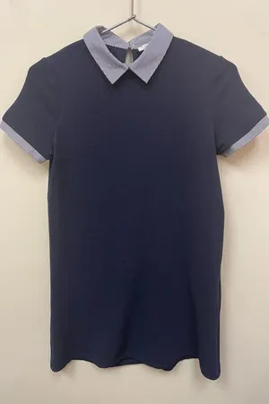 Zara Collared Mini Dress thumbnail 2