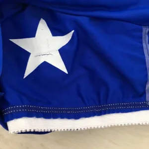 WILDFOX Blue White Swim Top Bikini NWT thumbnail 2