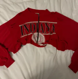 LF Stores Furst of a Kind Vintage Distressed Cropped Sweatshirt Indiana Hoosiers thumbnail 1