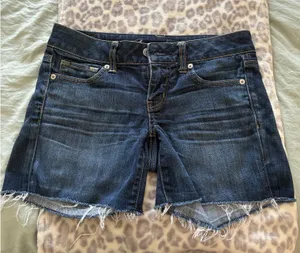 American Eagle Jean Shorts thumbnail 1
