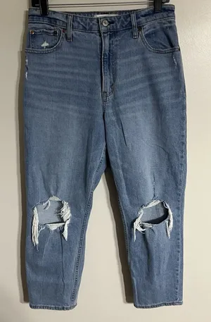 Abercrombie Fitch The Mom High Rise Jeans‎ Curve Love 28 6S Distressed thumbnail 1