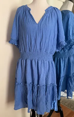Zoey & Leelo 2X Blue Dress thumbnail 1