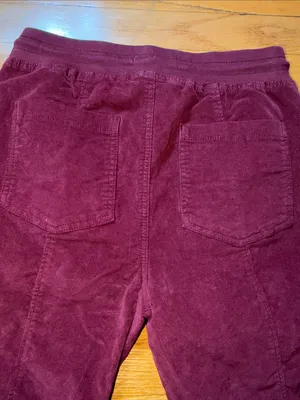 Anthropologie Burgundy Drawstring Jogger Pants thumbnail 7