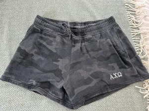 Alpha Chi shorts Gray Size M thumbnail 1