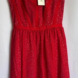 Erin Fetherstone‎ NWT Red Lace Dress with zipper back Women Size 2 thumbnail 7