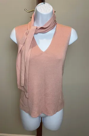 Ann Taylor Pink 100% Silk Sleeveless Tie Mock Neck Top Size M thumbnail 1