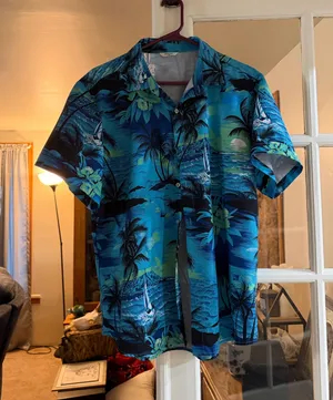 Hawaiian shirt Blue Size M thumbnail 1