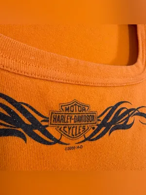 Y2K Harley-Davidson Walter Bros Peoria Tribal Flame Biker Baby Tee XL thumbnail 3