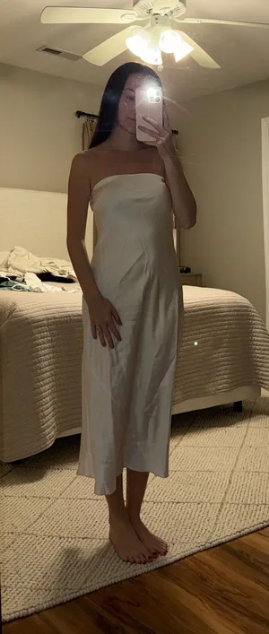 NWT Aritzia Charmaine Dress thumbnail 1