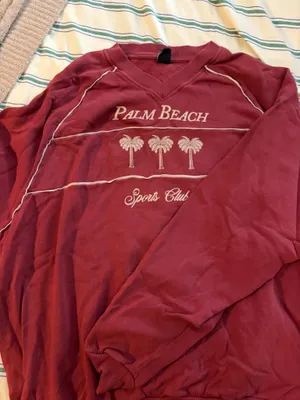 Urban Outfitters Palm Beach Sports Club Embroidered Graphic V-Neck Pullover thumbnail 2