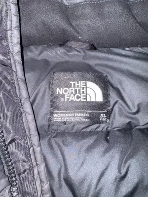 North Face Vest The 700 Down Puffer thumbnail 6