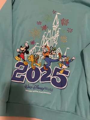 2025 Disney Graphic Sweatshirt thumbnail 4