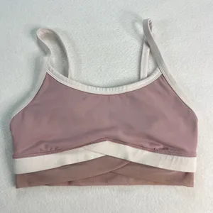 Fabletics Mauve Colorblock‎ Crossover Mesh Sports Bra Womens Small Yoga Running thumbnail 1