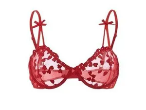 Embroidered Mesh Underwire Lingerie Set (M) thumbnail 1