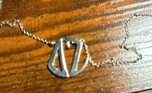 18” Silver Delta Zeta Necklace thumbnail 1