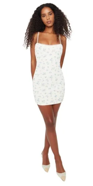 NWOT Danielle Guizio dainty blue floral mesh mini dress thumbnail 4