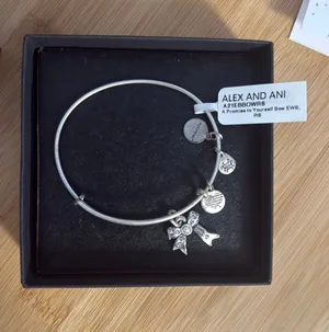 Alex and Ani Bracelet Charm Silver Bangle thumbnail 1