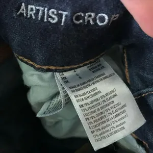 American Eagle Artist Crop dark wash normcore size 4 jeans thumbnail 2