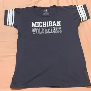 Michigan tee shirt Size L thumbnail 1