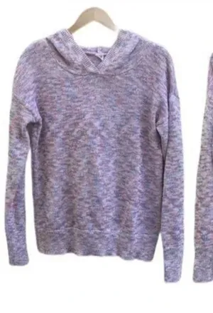 Gap Hooded pullover red white and blue‎ Sweater size small​​ thumbnail 1