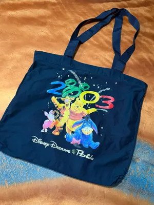 Vintage Jerry Leigh Disney Winnie the Pooh and friends tote bag graphic Florida thumbnail 1