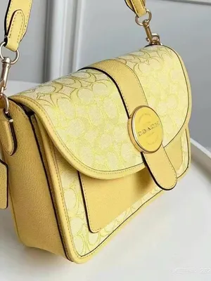 NWT!! Coach Lonnie Crosbody Bag in Signature Jacquard C8307 thumbnail 7