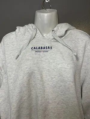 H&M Divided Calabasas Los Angeles Cropped Hoodie Sweatshirt Medium Gray Fleece thumbnail 1