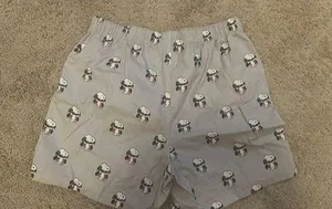 American Eagle Outfitters Boxers thumbnail 2