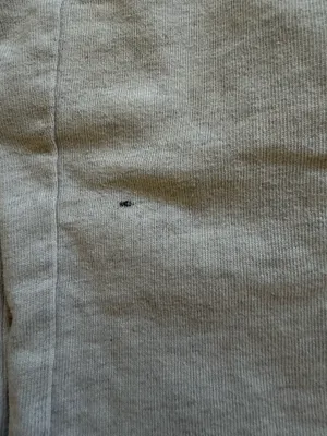 Brandy Melville Anastasia Sweatpants thumbnail 3