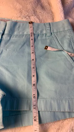 J.Crew Shorts thumbnail 3