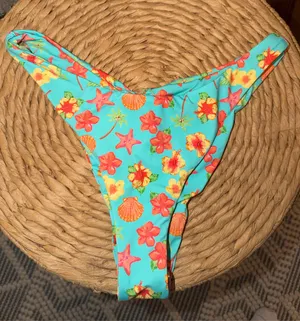 Dippin' Daisy's Bikini Bottoms thumbnail 1